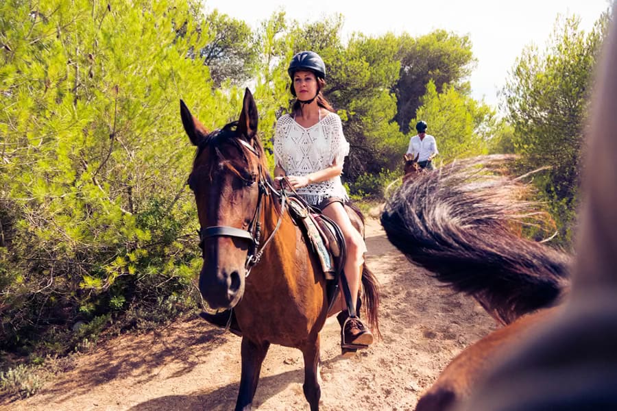 Horseback Riding Horseback Riding